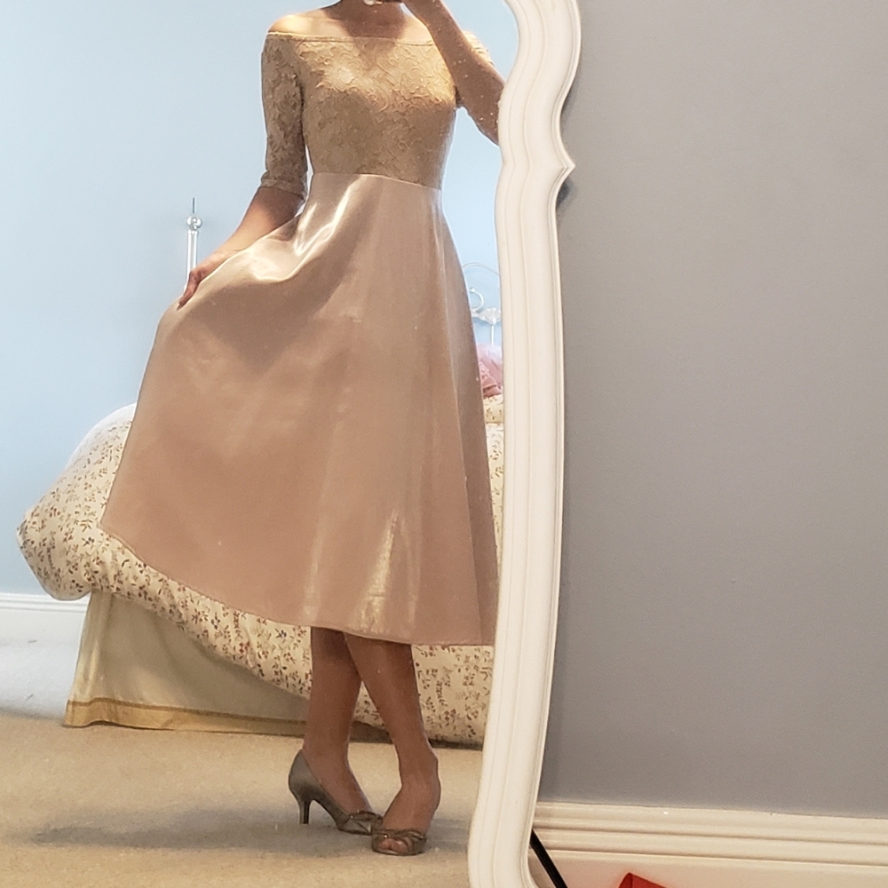 Blush True Decadence Lace Shimmery Formal Dress